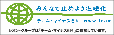 �`�[���E�}�C�i�X6��